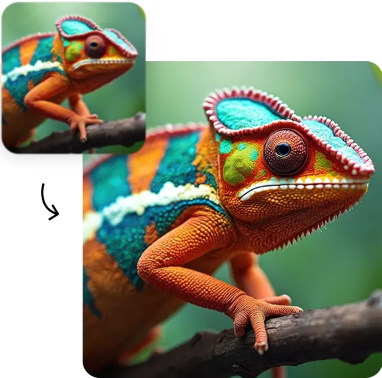 Descubre cómo mejorar la calidad de una imagen de tu mascota con estos consejos sencillos. Aprende sobre iluminación, edición y herramientas online para obtener fotos increíbles.